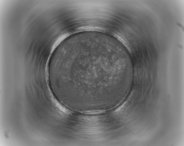 X0000098071082200804181126