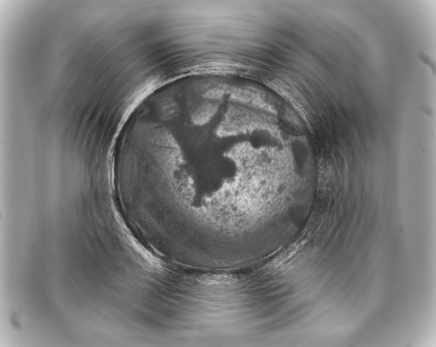 X0000098071083200804181126