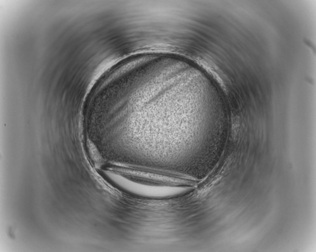 X0000098071085200804181126