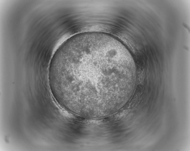 X0000098071086200804181126