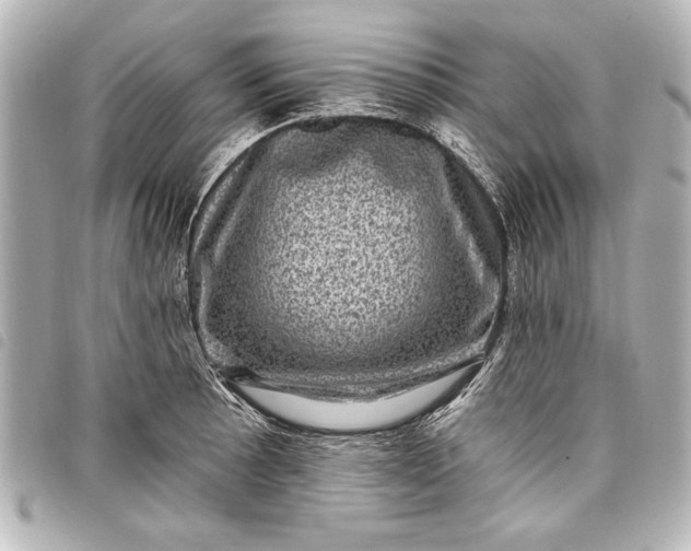 X0000098071089200804181126