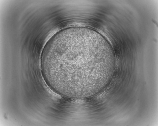 X0000098071090200804181126