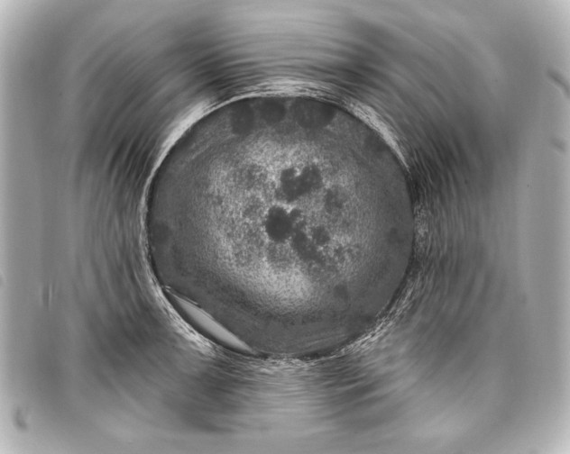 X0000098071091200804181126