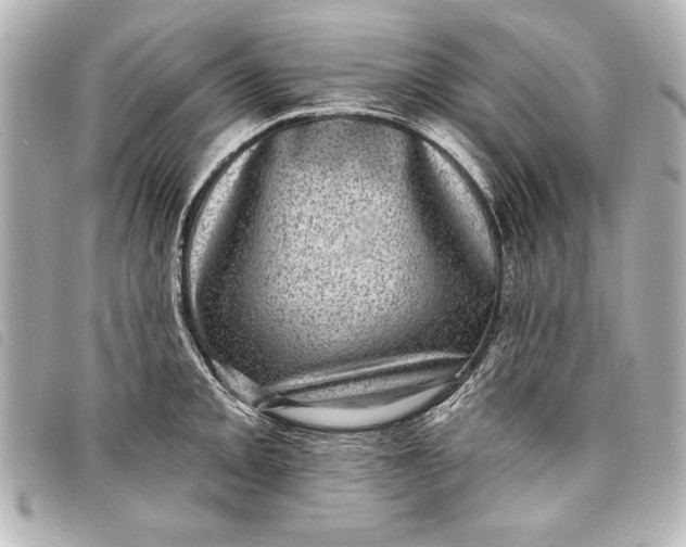 X0000098071093200804181126