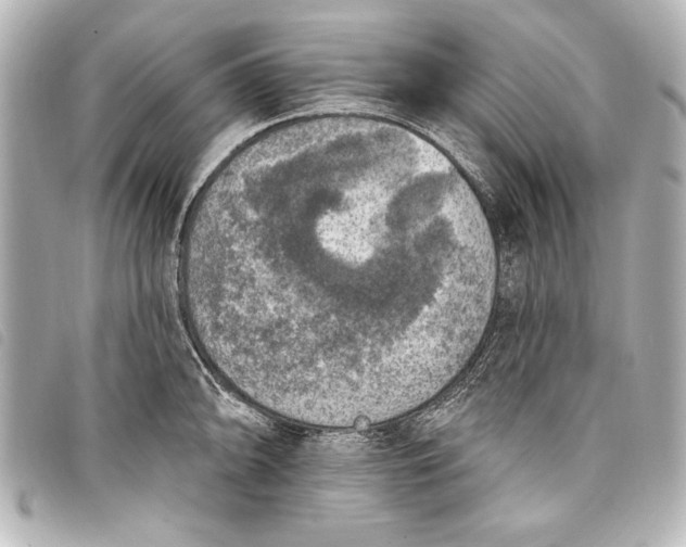 X0000098071094200804181126