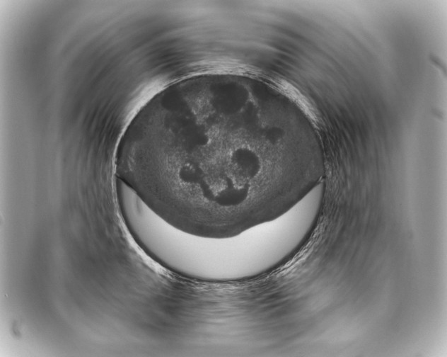 X0000098071095200804181126