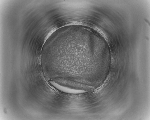 X0000098071097200804181126