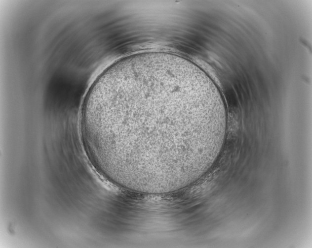 X0000098071098200804181126