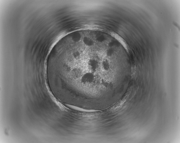 X0000098071099200804181126