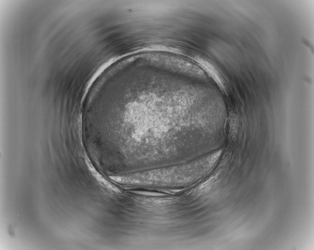 X0000098071100200804181126