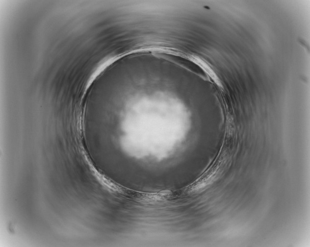 X0000098071101200804181126