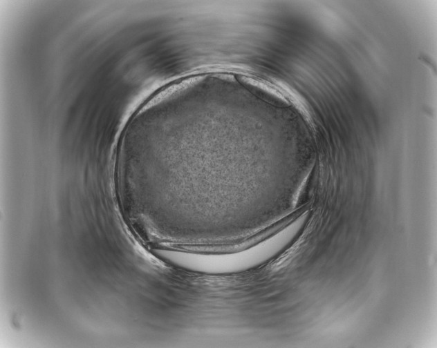 X0000098071102200804181126