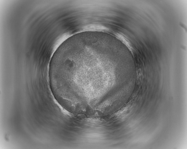 X0000098071103200804181126