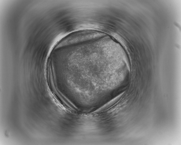 X0000098071104200804181126