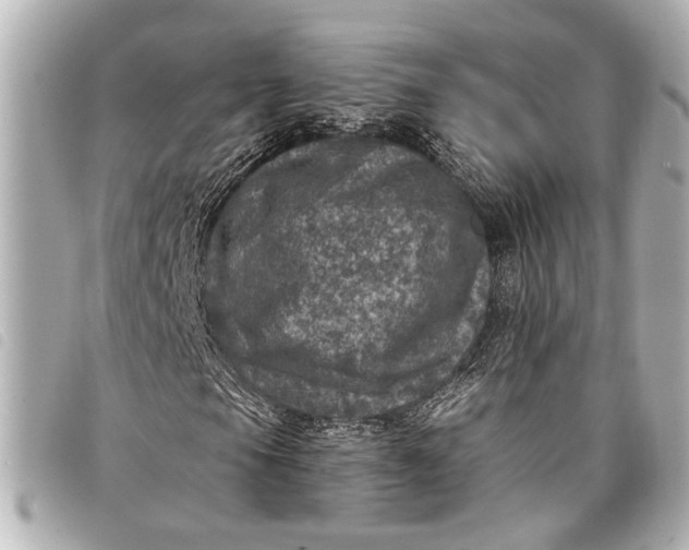 X0000098071105200804181125