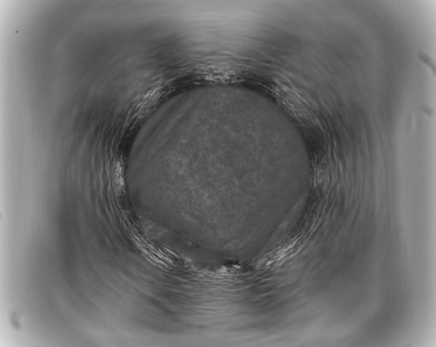 X0000098071106200804181125