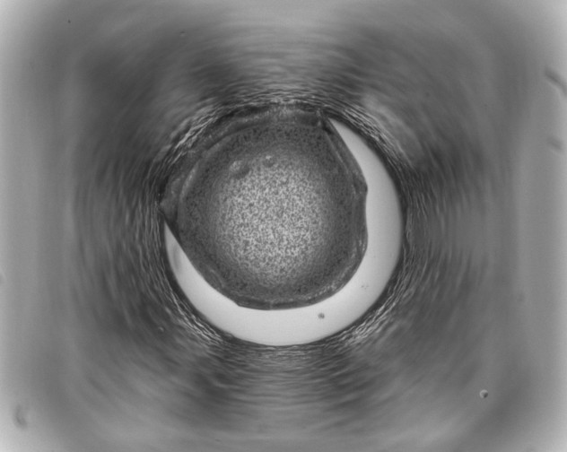 X0000098071107200804181125