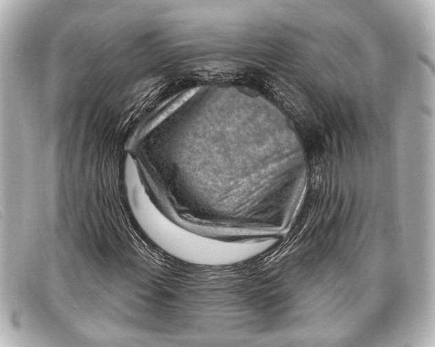 X0000098071108200804181125