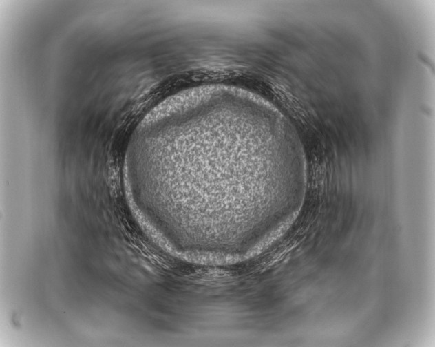 X0000098071109200804181125