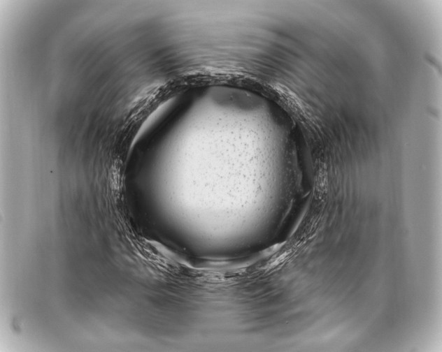 X0000098071110200804181125