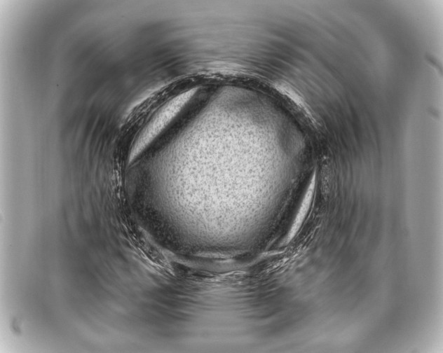 X0000098071112200804181125