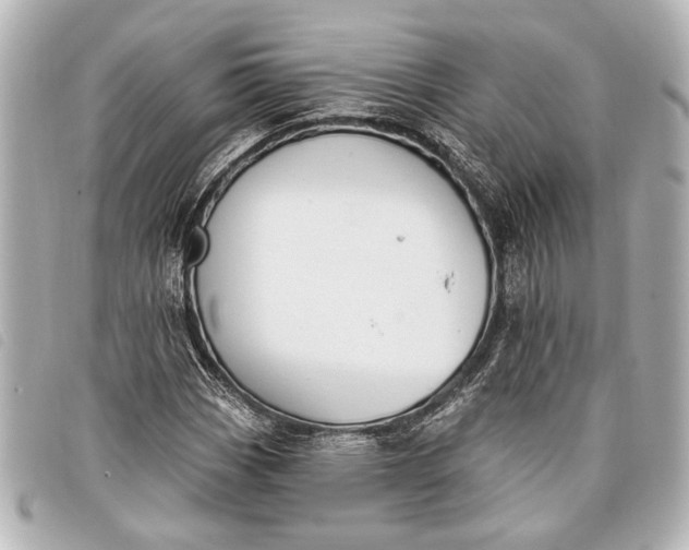 X0000098071113200804181125