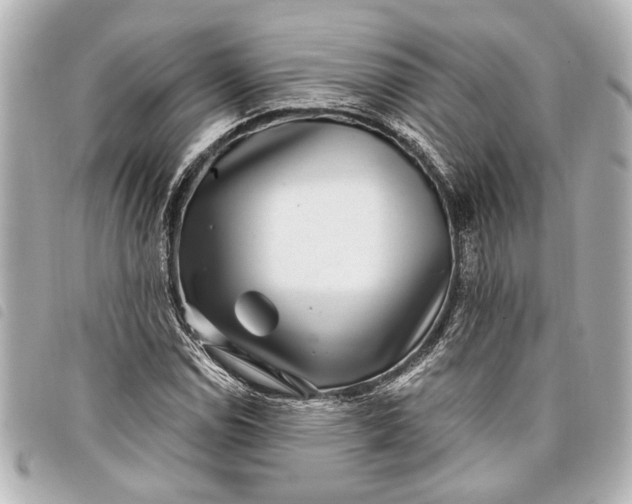 X0000098071114200804181125