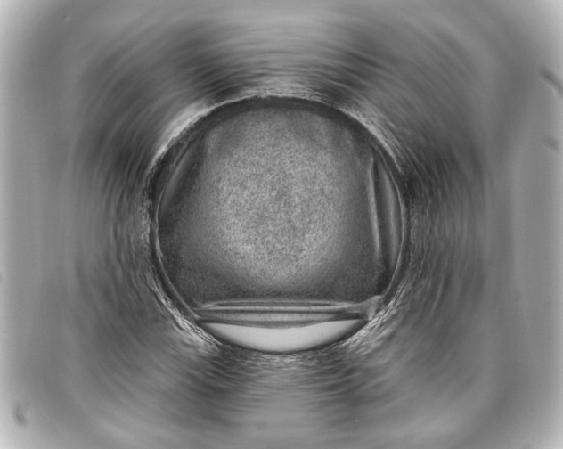 X0000098071115200804181125