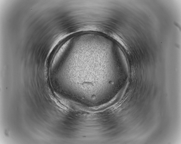 X0000098071116200804181125