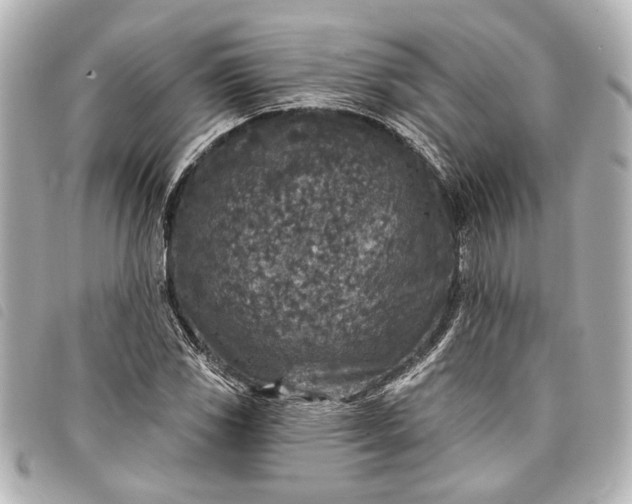 X0000098071117200804181125