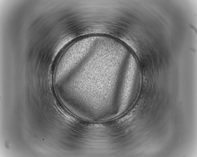 X0000098071119200804181126