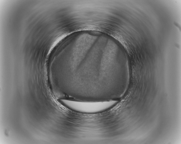 X0000098071120200804181126