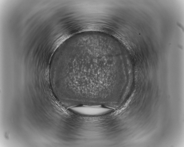 X0000098071121200804181126