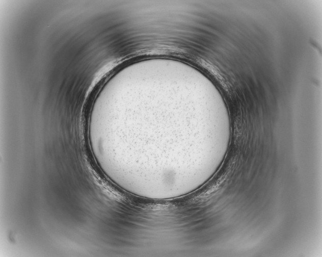 X0000098071122200804181126