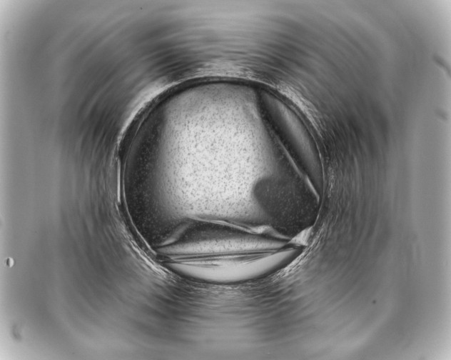 X0000098071123200804181126