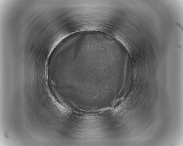 X0000098071124200804181126