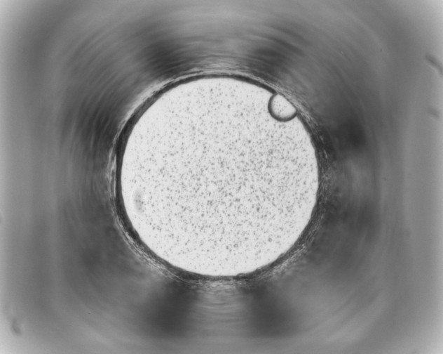 X0000098071126200804181126