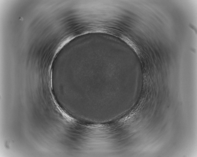 X0000098071127200804181126