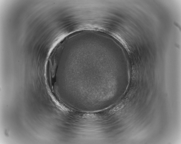 X0000098071128200804181126