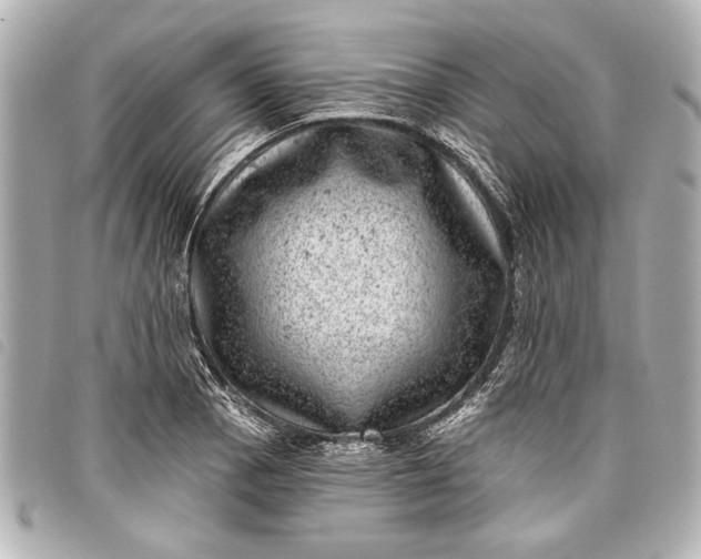 X0000098071129200804181126