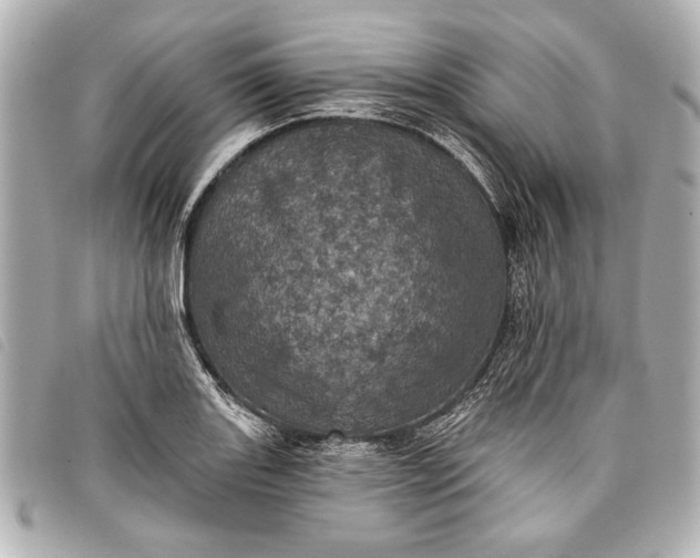 X0000098071131200804181126