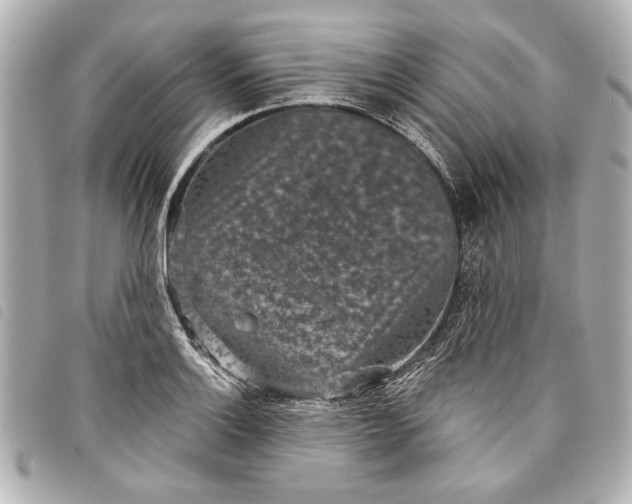 X0000098071132200804181126