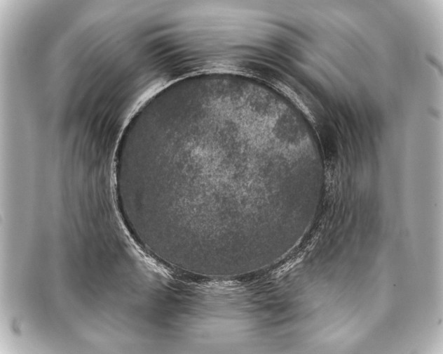 X0000098071133200804181126