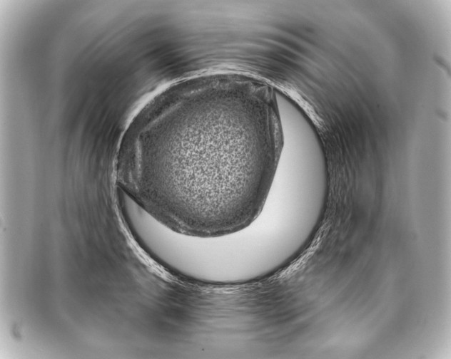 X0000098071134200804181126