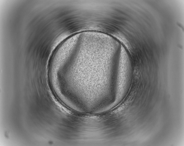 X0000098071135200804181126