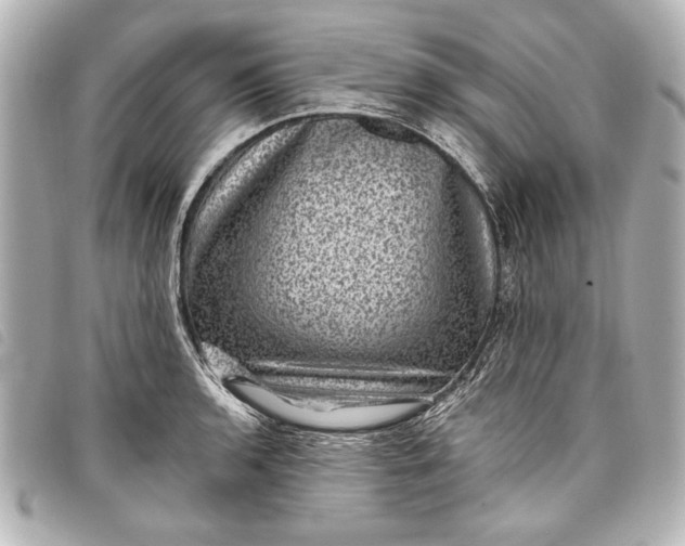 X0000098071136200804181126