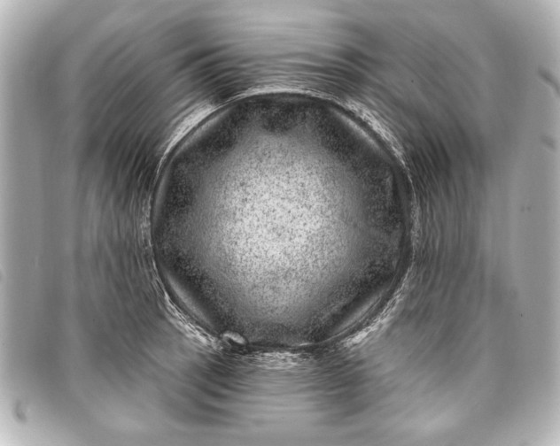 X0000098071137200804181126