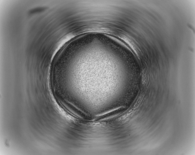 X0000098071139200804181126