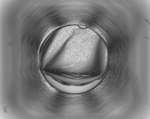 X0000098071140200804181126