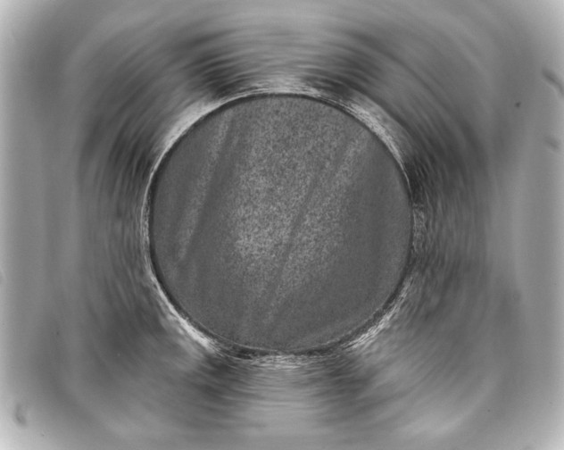 X0000098071141200804181126